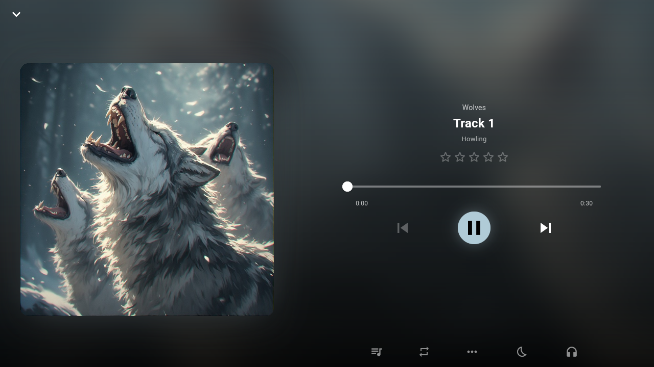 The full music player